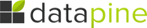 datapine logo